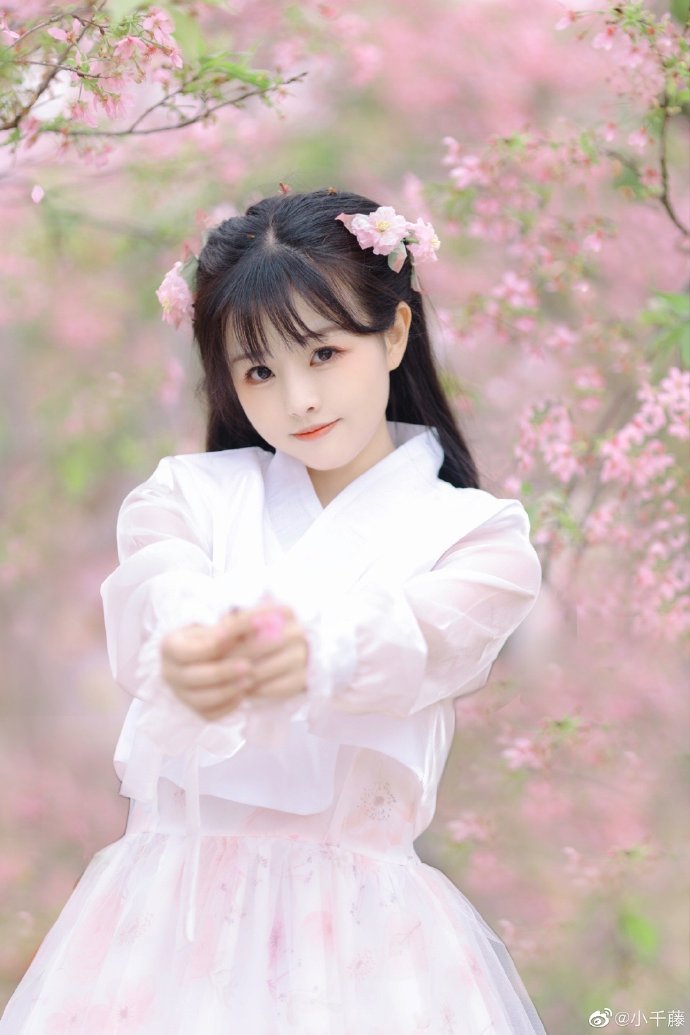 走向共和